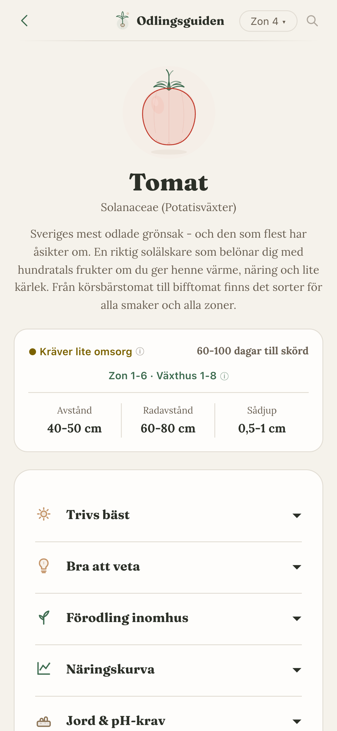 Tomato crop profile with illustration, growing info and sections